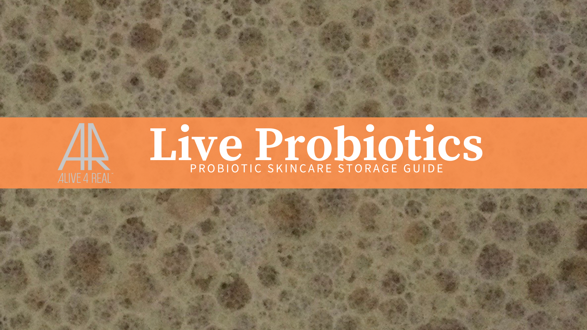 Probiotic Skincare Storage: Keep Your Formula Fresh and Potent – Alive4Real